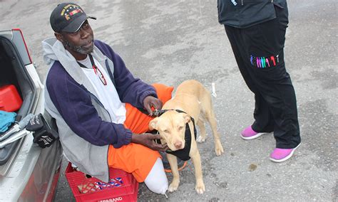 no more homeless pets gainesville fl